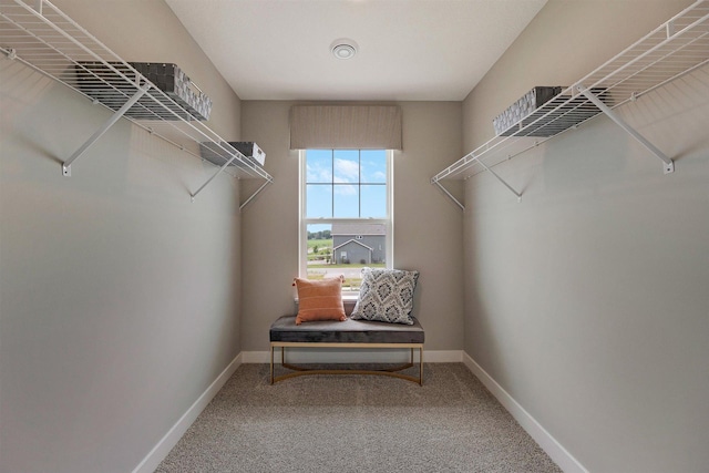 17021 Draper Way, Lakeville, MN 55044 - spacious closet featuring carpet