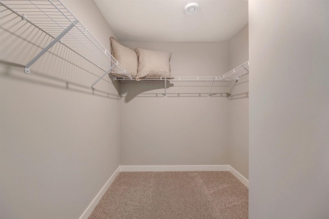 17021 Draper Way, Lakeville, MN 55044 - spacious closet featuring carpet floors