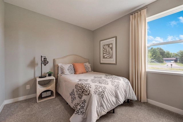 17021 Draper Way, Lakeville, MN 55044 - bedroom with carpet floors and baseboards