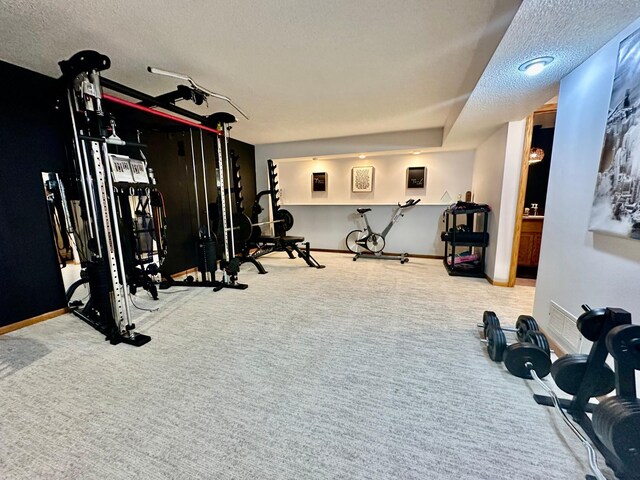 18224 Flanders St NE, East Bethel, MN 55092 - exercise area with a textured ceiling and carpet