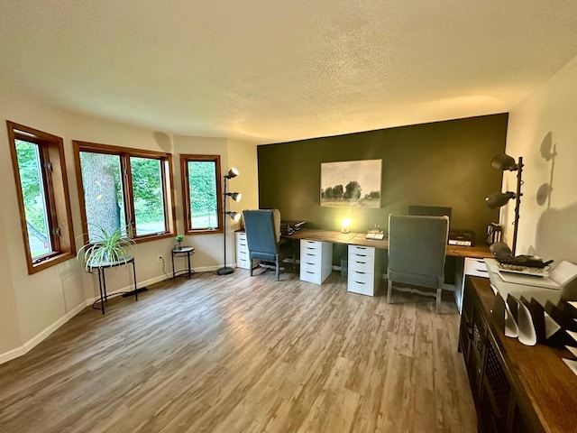 18224 Flanders St NE, East Bethel, MN 55092 - home office featuring wood finished floors and a textured ceiling