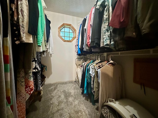 18224 Flanders St NE, East Bethel, MN 55092 - spacious closet with carpet