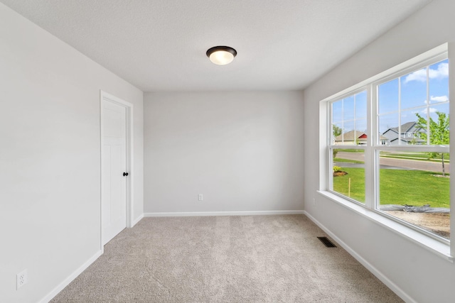 19346 Clearwater Ct, Farmington, MN 55024 - photo 7