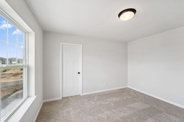 19346 Clearwater Ct, Farmington, MN 55024 - photo 27