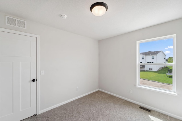 19346 Clearwater Ct, Farmington, MN 55024 - photo 29