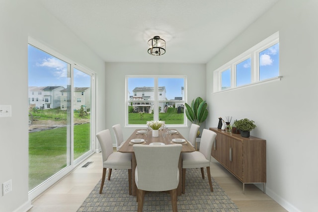 19391 Clearwater Loop, Farmington, MN 55024 - dining space featuring light wood-style flooring and baseboards