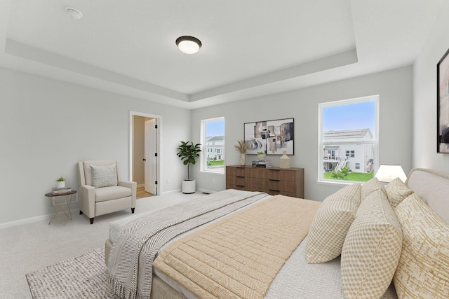 19391 Clearwater Loop, Farmington, MN 55024 - bedroom featuring a raised ceiling and carpet floors