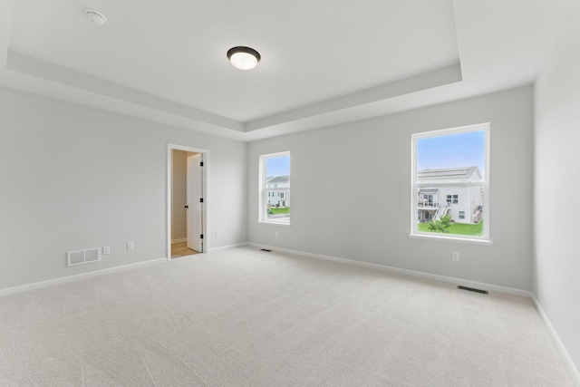 19391 Clearwater Loop, Farmington, MN 55024 - unfurnished room with a raised ceiling, carpet flooring, and a smoke detector