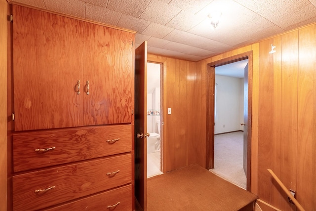 208 Lincoln St SW, Mapleton, MN 56065 - hallway with carpet floors and wooden walls