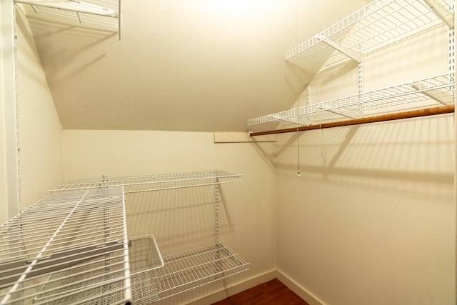 208 Lincoln St SW, Mapleton, MN 56065 - spacious closet with wood finished floors