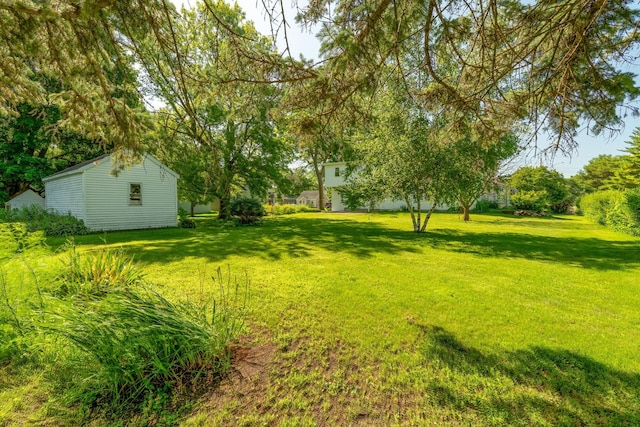 208 Lincoln St SW, Mapleton, MN 56065 - view of green lawn