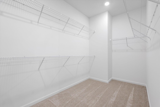 14990 144th Ave N, Dayton, MN 55327 - walk in closet with carpet floors