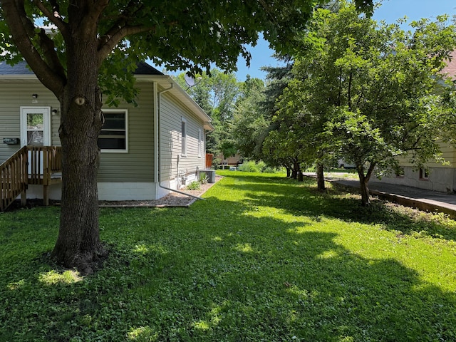 226 Central Ave, Truman, MN 56088 - view of grassy yard