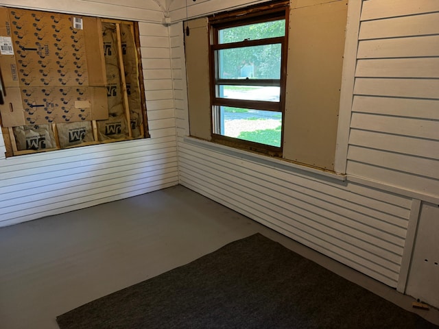 226 Central Ave, Truman, MN 56088 - unfurnished room with wooden walls and concrete floors