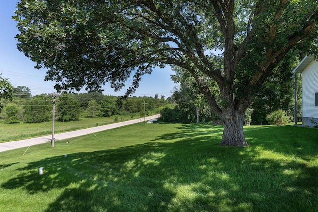 1110 Water Plant Rd, Fergus Falls, MN 56537 - photo 23