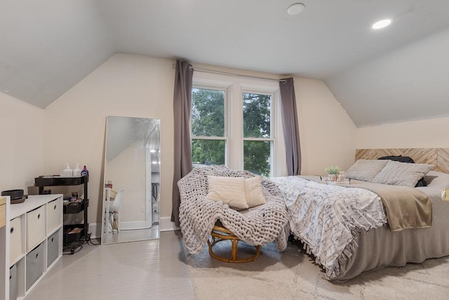 205 Main St, Marshall, MN 56258 - bedroom with vaulted ceiling and recessed lighting