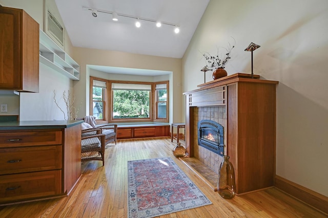 4623 Blaisdell Ave S, Minneapolis, MN 55419 - living room with rail lighting, vaulted ceiling, light wood finished floors, and a tiled fireplace