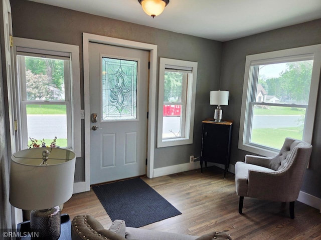 205 1st Ave SE, Norwood Young America, MN 55397 - photo 5