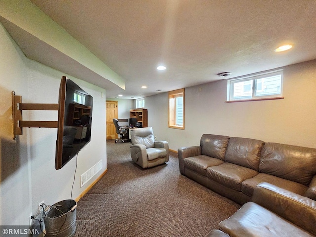 205 1st Ave SE, Norwood Young America, MN 55397 - photo 27