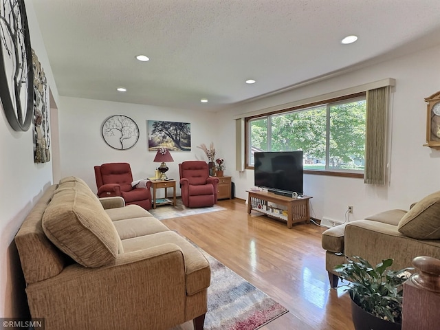 320 Ramey Rd, Maple Lake, MN 55358 - living room with wood finished floors, recessed lighting, and a baseboard radiator
