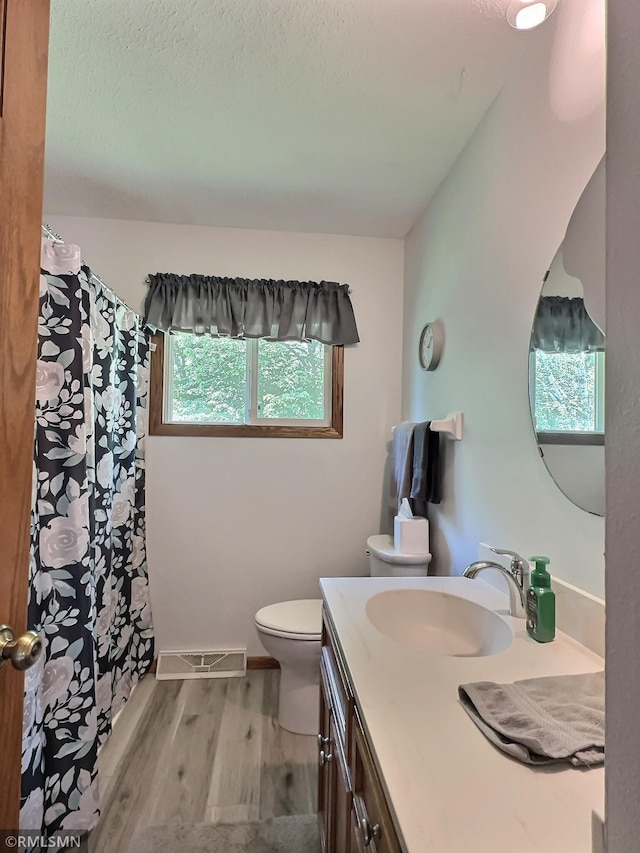 320 Ramey Rd, Maple Lake, MN 55358 - full bathroom with vanity, wood finished floors, and a shower with shower curtain