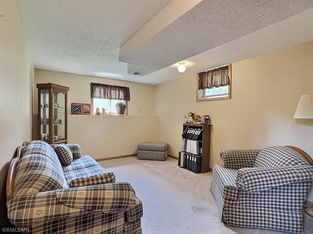 320 Ramey Rd, Maple Lake, MN 55358 - carpeted living room featuring a textured ceiling and baseboards