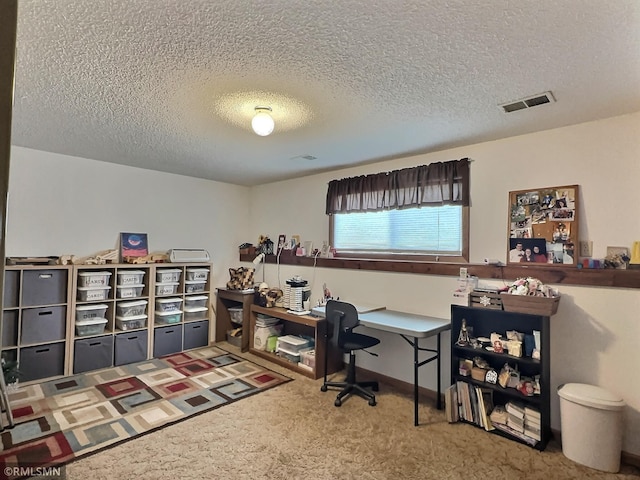 320 Ramey Rd, Maple Lake, MN 55358 - office with a textured ceiling and carpet floors