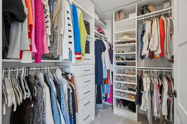 2348 Kester Ave NE, Saint Michael, MN 55376 - walk in closet featuring carpet