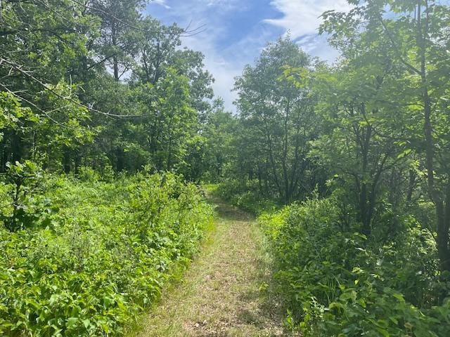 2750 330th St, Sterling Twp, WI 54840 - view of tree filled area