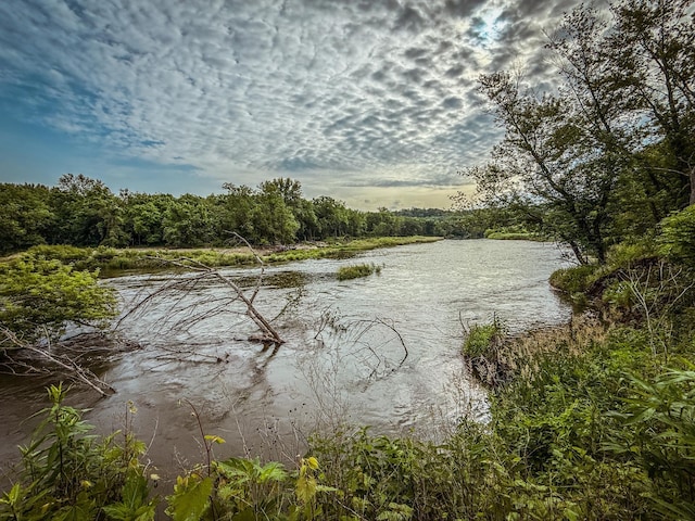 tbd County Road 7, Zumbro Falls, MN 55991