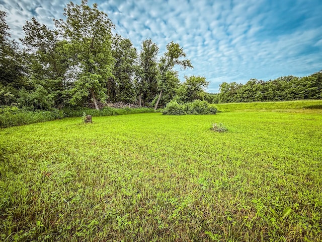 tbd County Road 7, Zumbro Falls, MN 55991