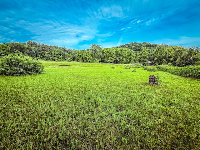 tbd County Road 7, Zumbro Falls, MN 55991