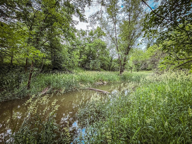 tbd County Road 7, Zumbro Falls, MN 55991