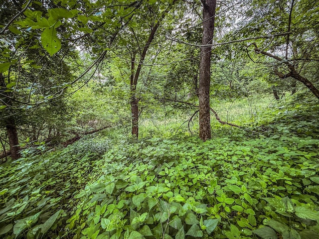 tbd County Road 7, Zumbro Falls, MN 55991