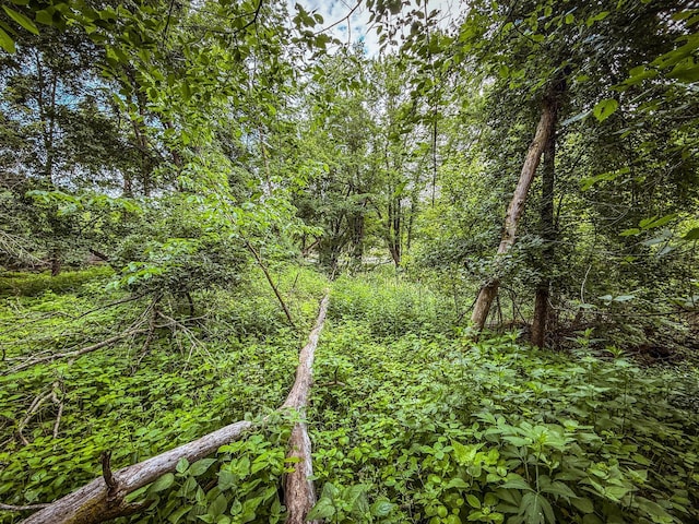 tbd County Road 7, Zumbro Falls, MN 55991