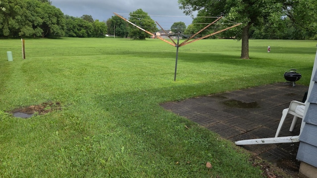 1003 15th St SW, Austin, MN 55912 - view of green lawn