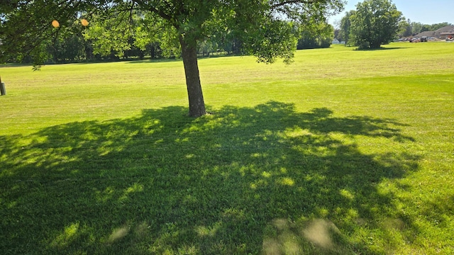 1003 15th St SW, Austin, MN 55912 - view of grassy yard