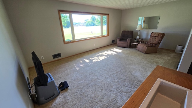 1003 15th St SW, Austin, MN 55912 - living area featuring carpet