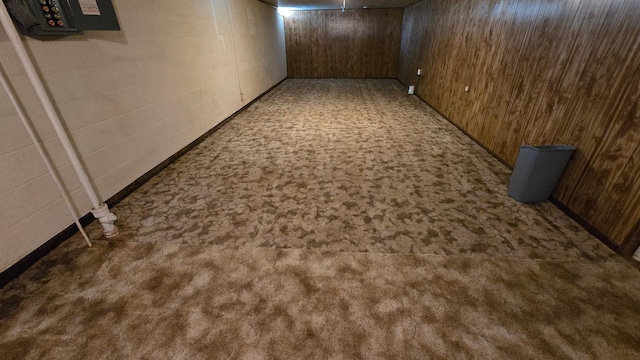 1003 15th St SW, Austin, MN 55912 - finished below grade area with wood walls and carpet flooring