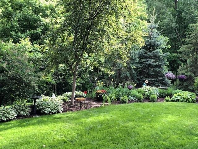4901 Sparrow Rd, Minnetonka, MN 55345 - photo 34