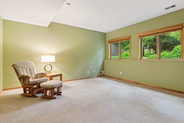 4901 Sparrow Rd, Minnetonka, MN 55345 - photo 21