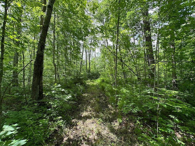 TBD Tamarac Rd, Onamia, MN 56353