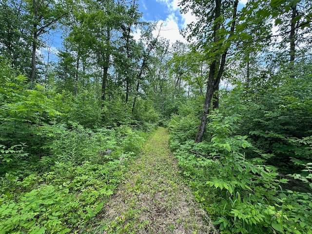 TBD Tamarac Rd, Onamia, MN 56353