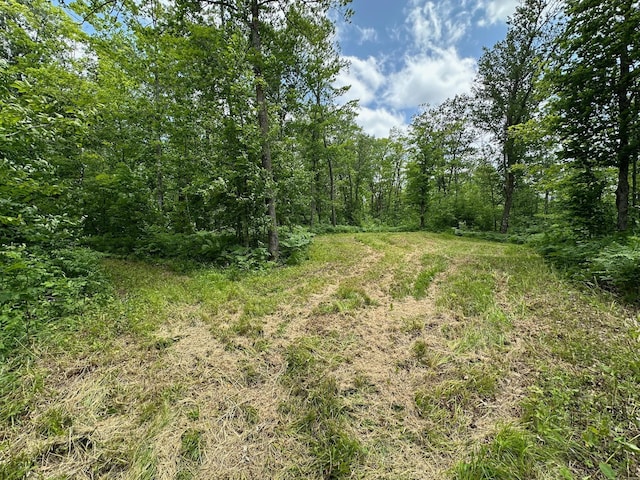 TBD Tamarac Rd, Onamia, MN 56353