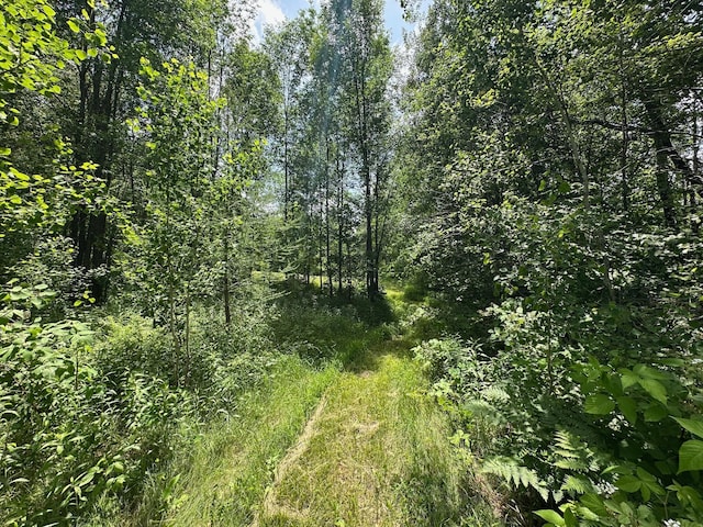 TBD Tamarac Rd, Onamia, MN 56353