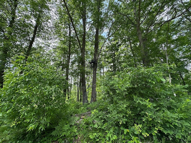 TBD Tamarac Rd, Onamia, MN 56353