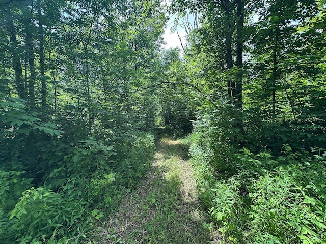 TBD Tamarac Rd, Onamia, MN 56353