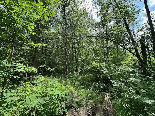 TBD Tamarac Rd, Onamia, MN 56353