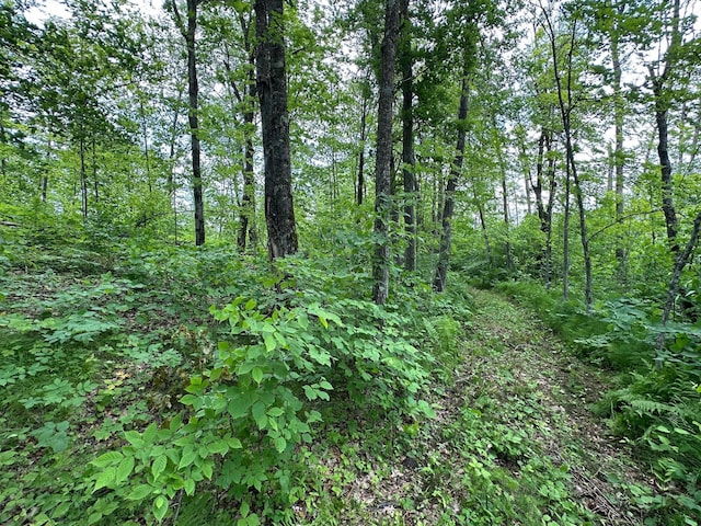 TBD Tamarac Rd, Onamia, MN 56353