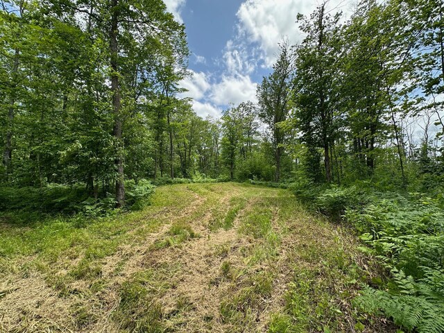 TBD Tamarac Rd, Onamia, MN 56353